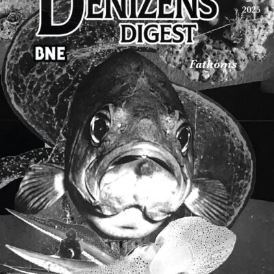 Denizen Digest Issue #4